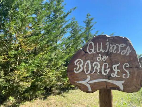 과르다 Quinta Do Borges 2 아파트 외부 사진